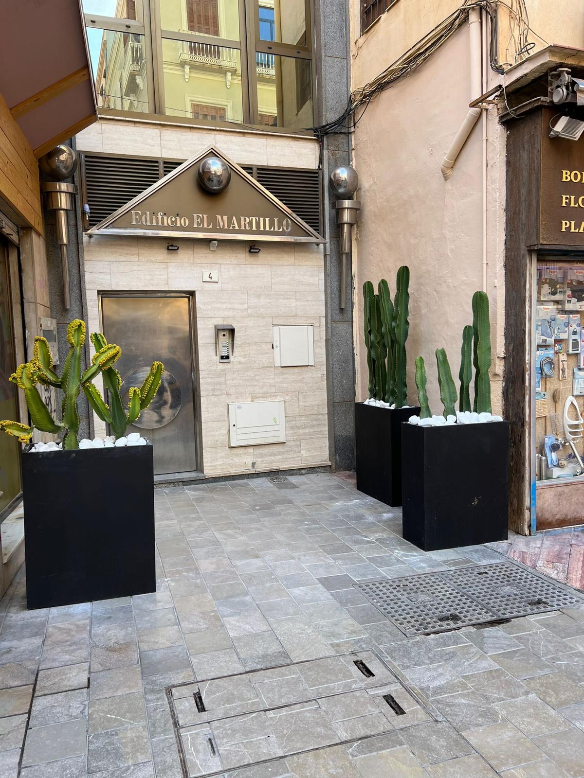 WhatsApp Image 2025-12-23 at 13.39.24 (7)