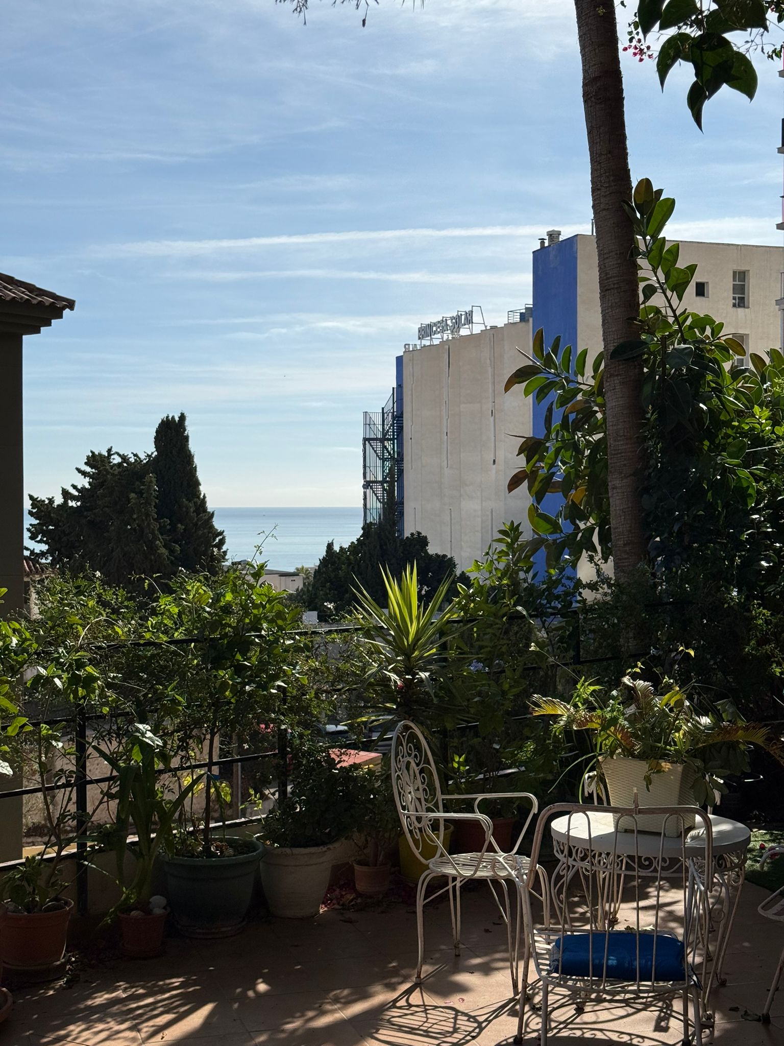 WhatsApp Image 2026-02-18 at 12.09.55 (1)