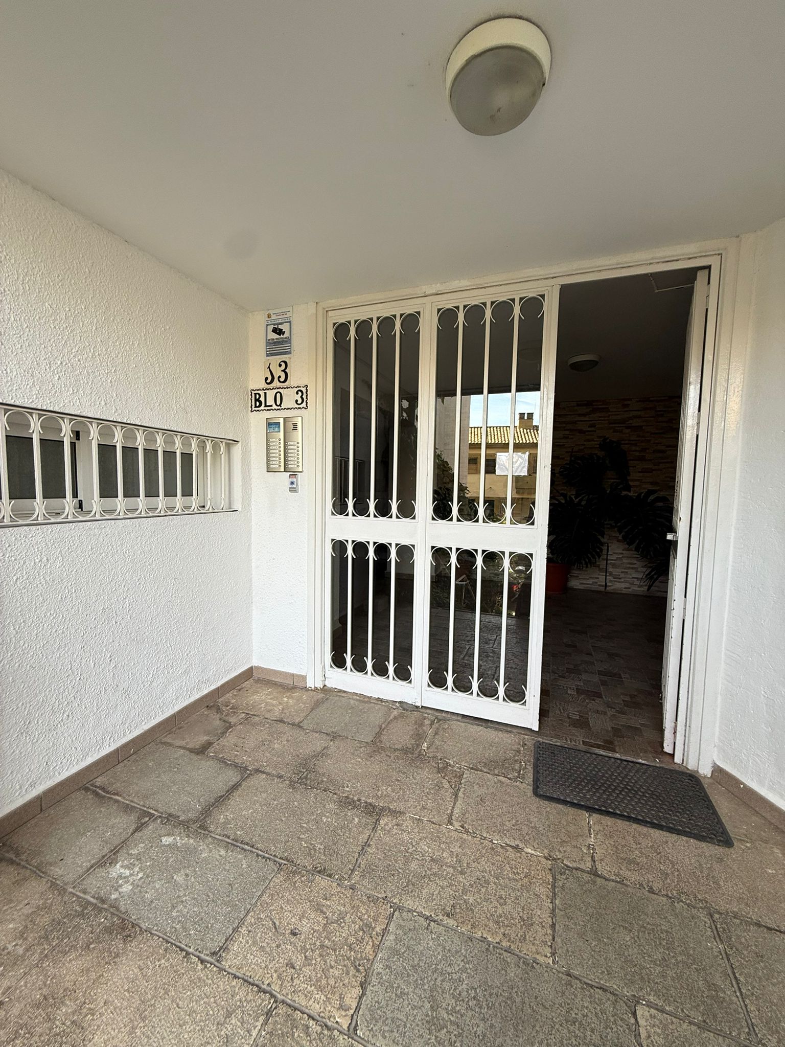 WhatsApp Image 2026-02-18 at 12.09.56 (3)