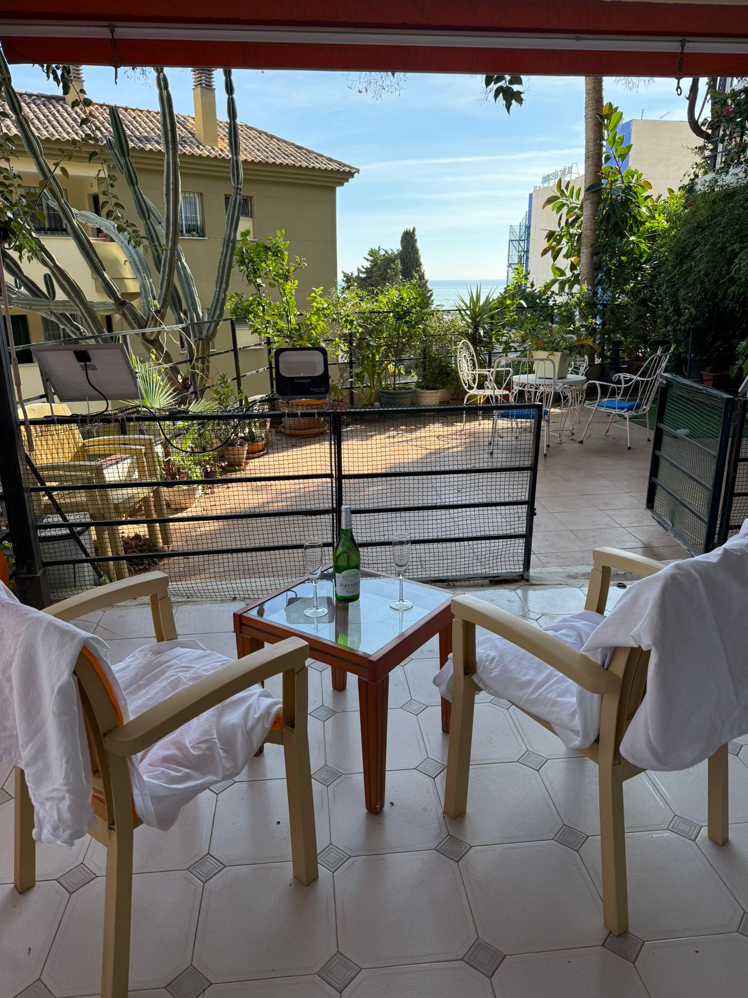 WhatsApp Image 2026-02-18 at 12.09.56 (4)