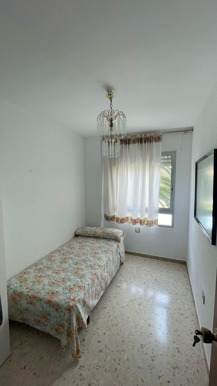 WhatsApp Image 2026-03-10 at 15.37.45