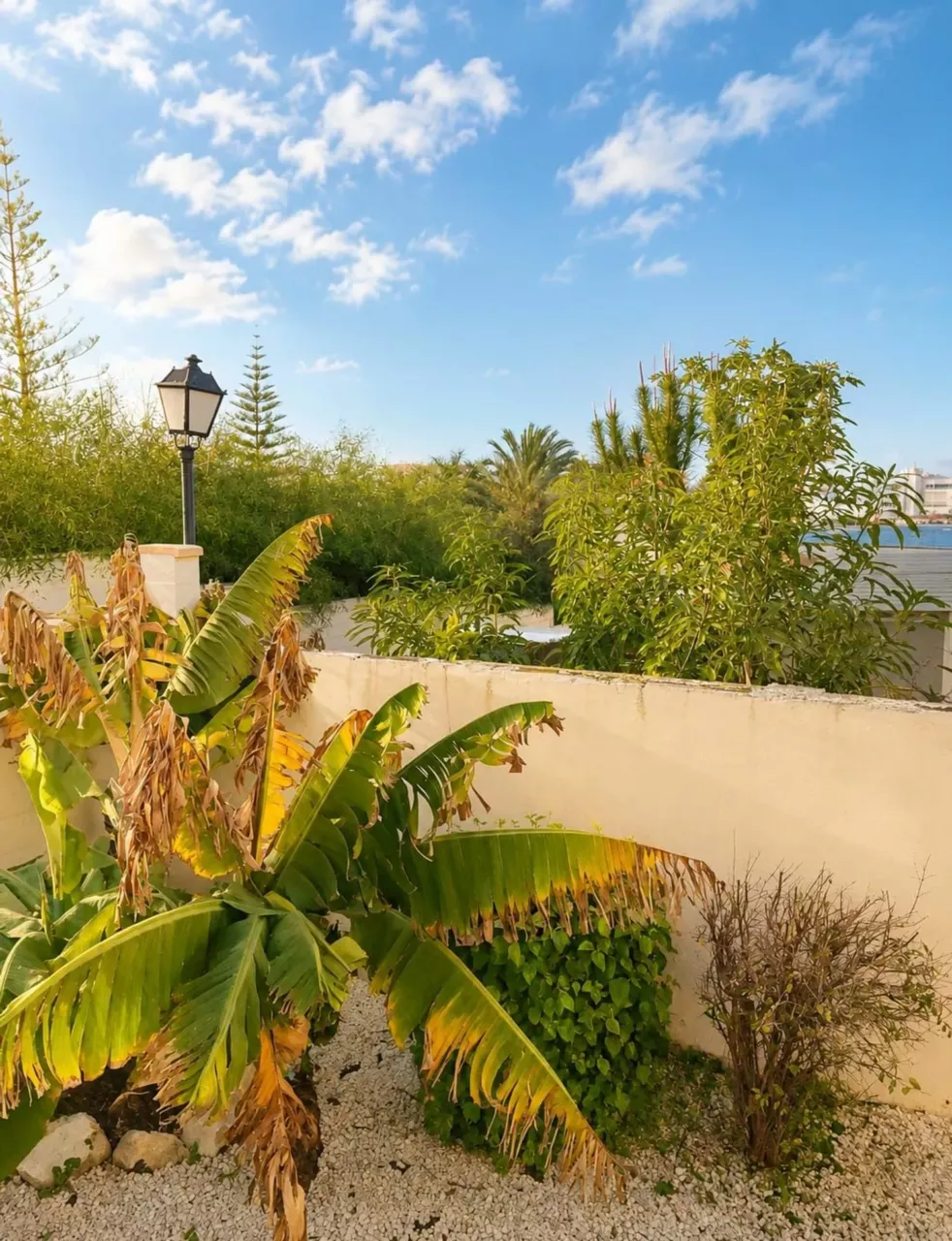 Studio met aparte slaapkamer te koop in Montemar Bajo, Torremolinos – foto 8